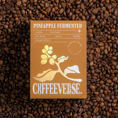 Pineapple Fermented Filter Roast Coffee | Baarbara Estate Coffee