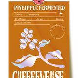 Pineapple Fermented Filter Roast Coffee | Baarbara Estate Coffee